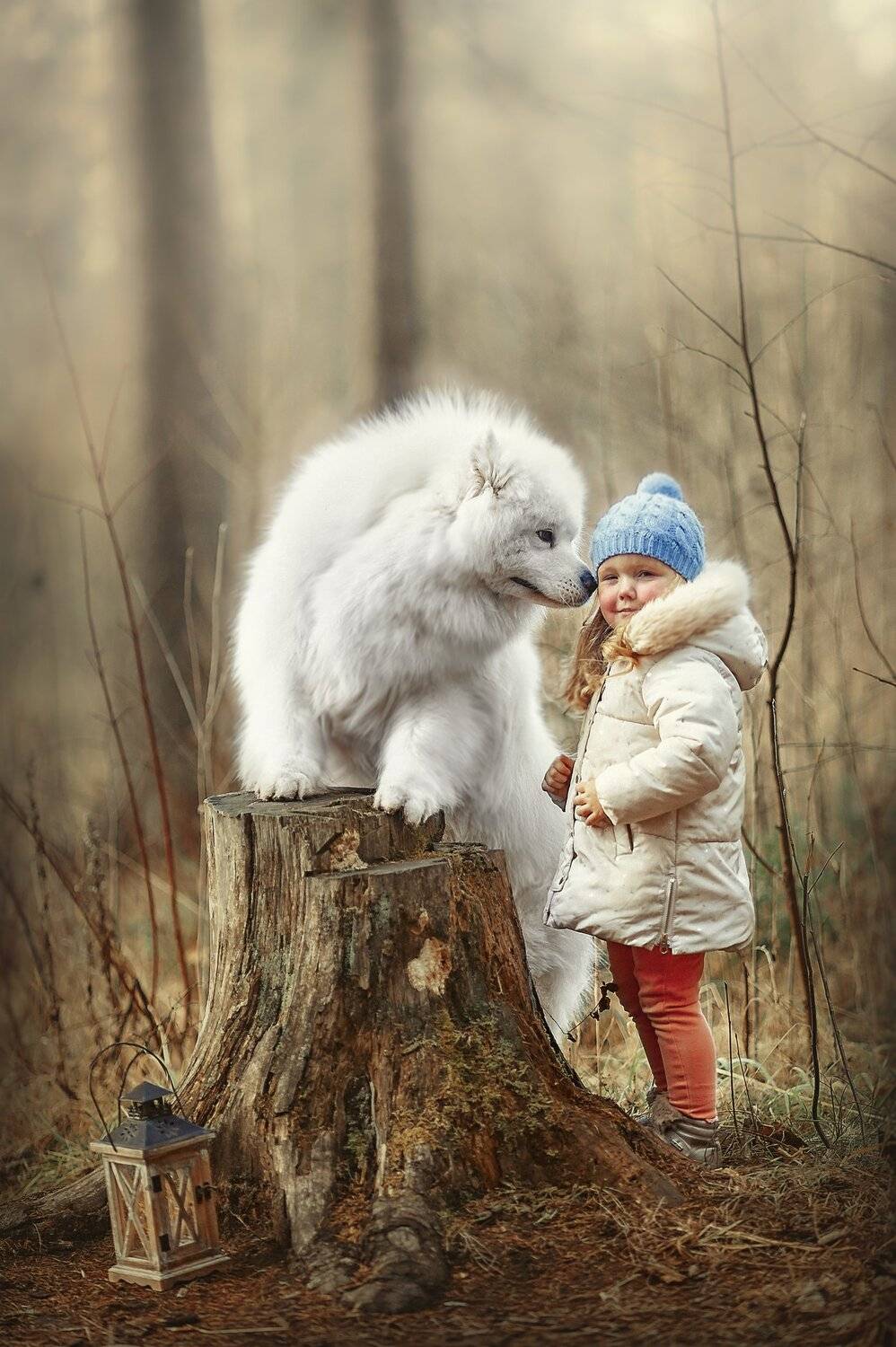 , Ксения Лысенкова