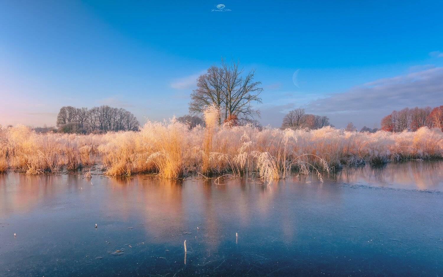 frost, reflection, water, sky, frost, landscape, december, nikon, sunrise, nature, forest, tree, clouds, atmosphere, Krzysztof Tollas