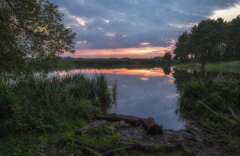 Backwater фото превью