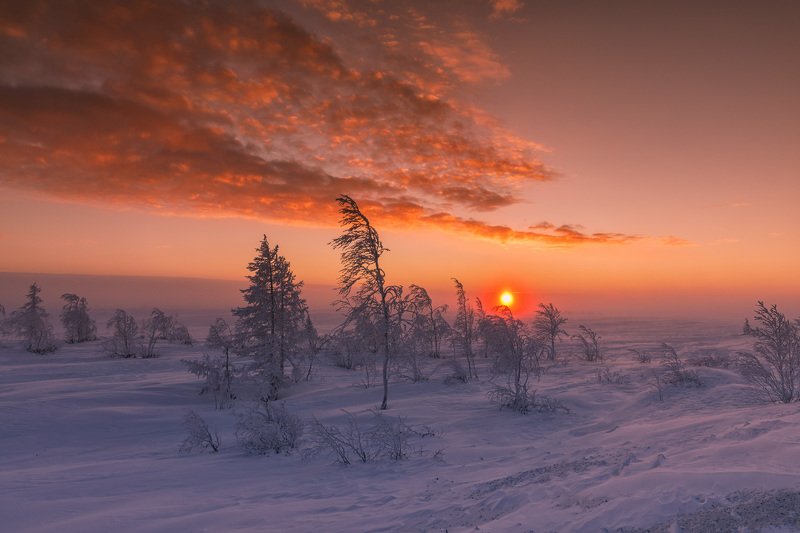 * * * фото превью