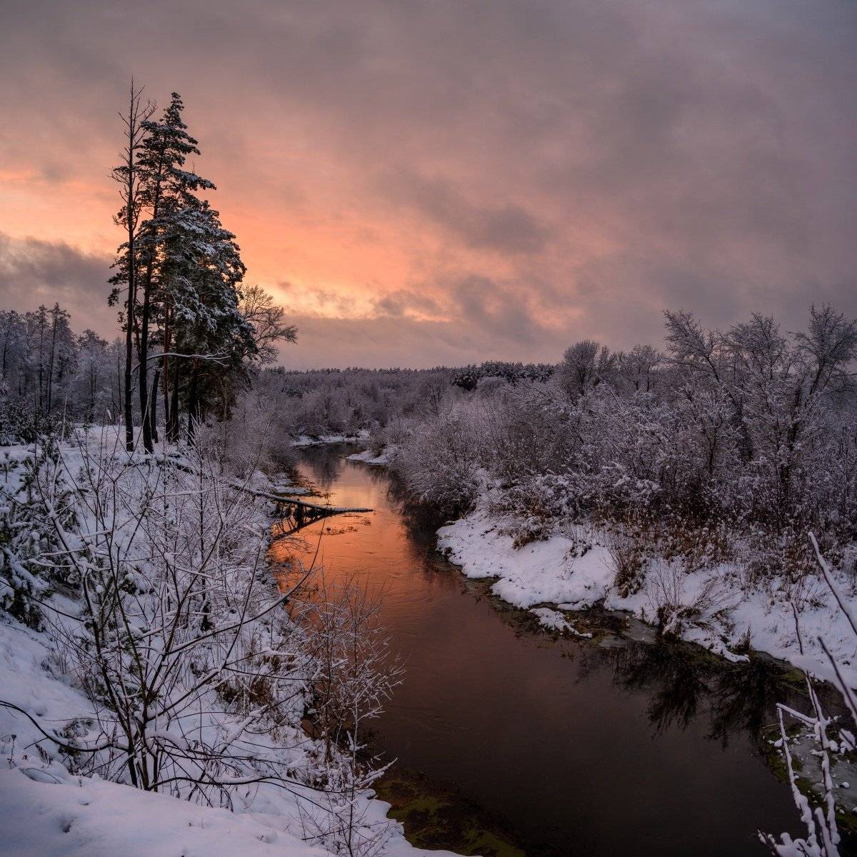 , Никитин Николай