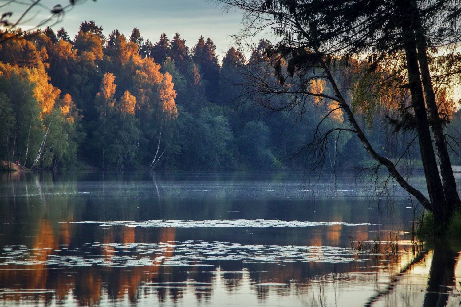 пейзаж, закат, озеро, природа , Евгения Ботова