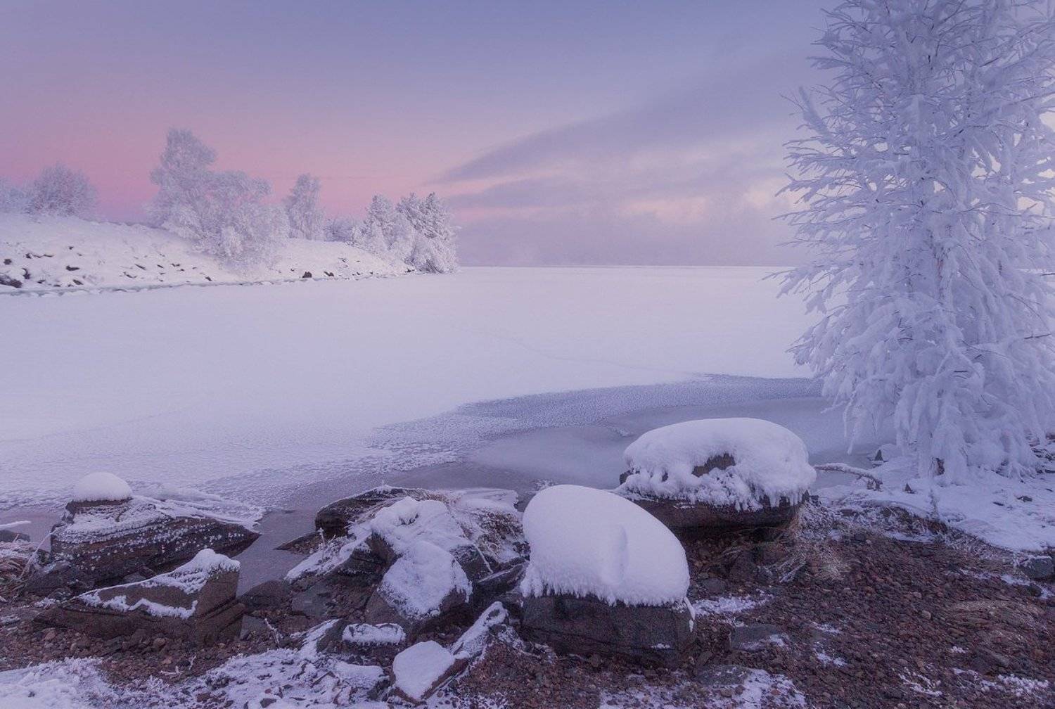 , Алексей Трофимов