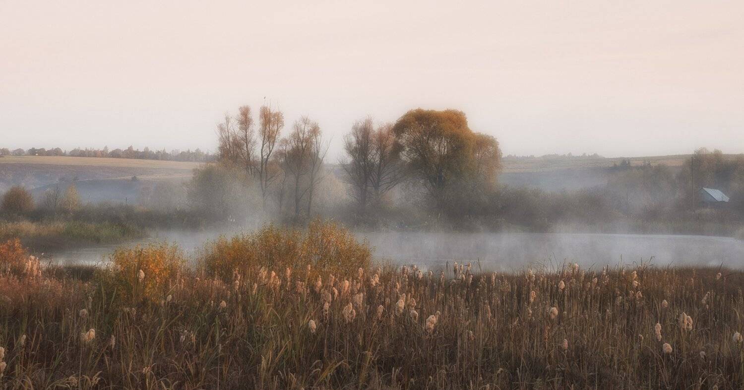 октябрю утро туман природа, Андрей Колесов