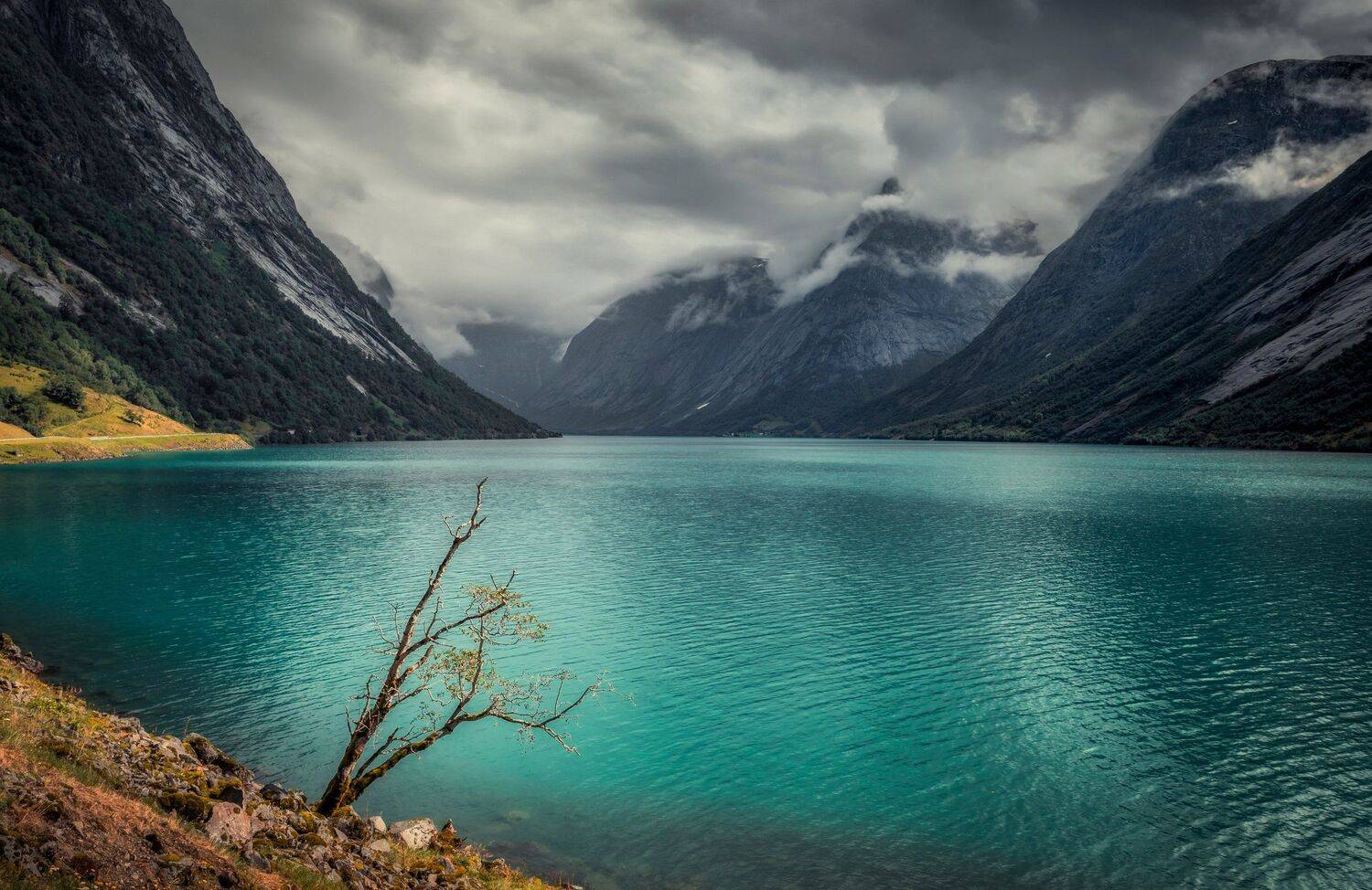 горы, фьорд, Александр Безмолитвенный