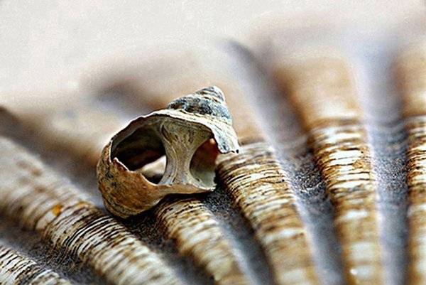 , ИГОРЬ МЕЛЬНИКОВ