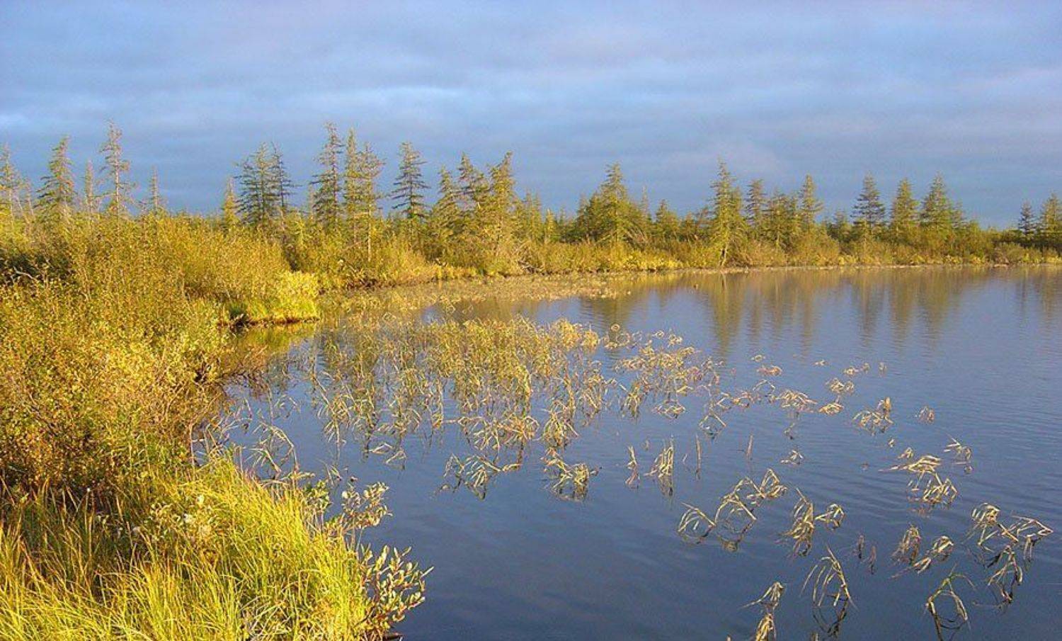 озеро,тайга,осень, Солодухин Виктор