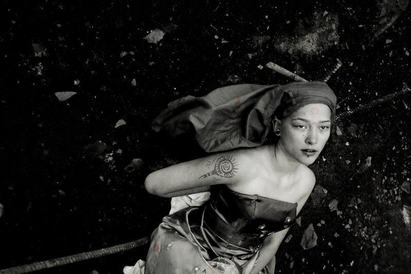 фараон, чайка, внутри, вне, о.., каты  фото превью