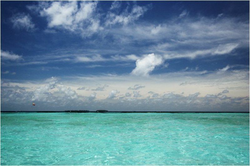 eden, рай, острова, island eden фото превью