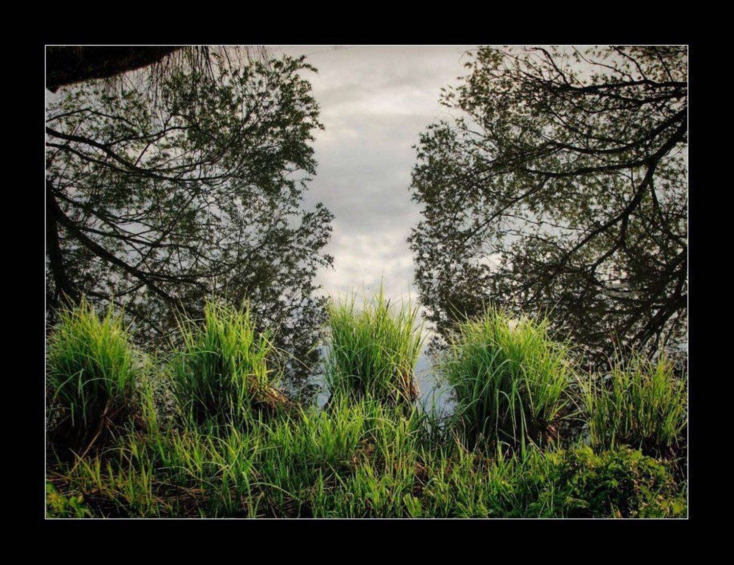 , Лунный Ежик