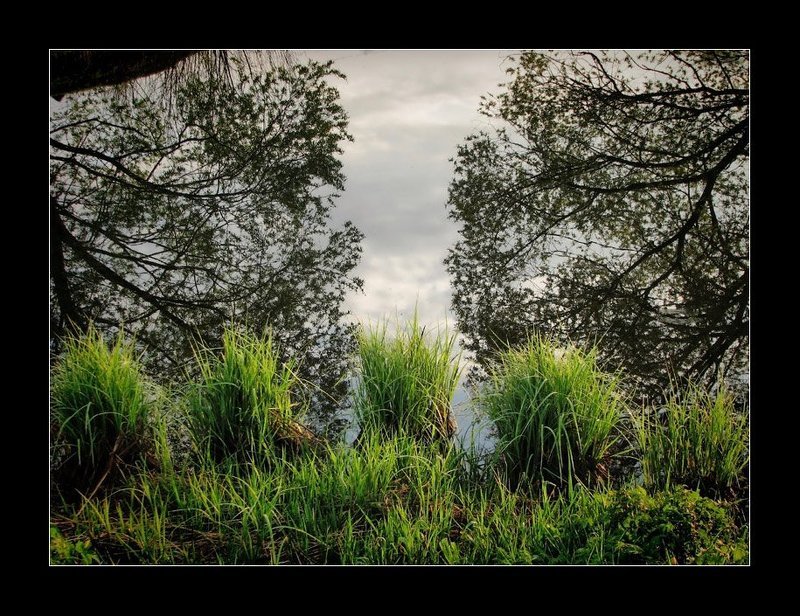 Природная симметрия фото превью