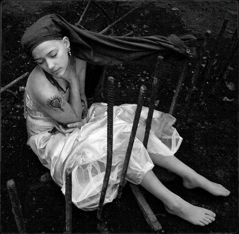 фараон, чайка, вселенная, рядом, далеко, мир Фараон-Чайка фото превью