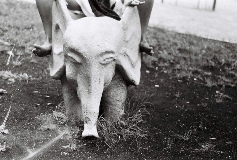 слон, сердце, индия, зоркий4к, 35мм В Слоне - большое Сердце фото превью