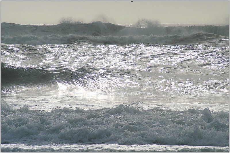О птичке, которая не вместилась в кадр фото превью