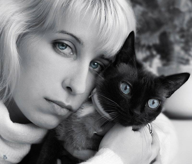 автопортрет, человек, кошка, девушка, Darn Cat