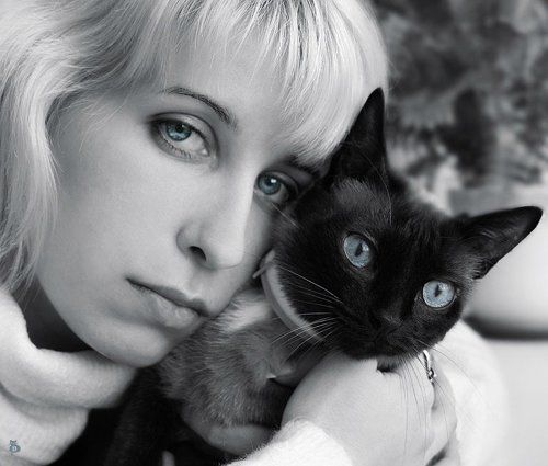 Человек и кошка