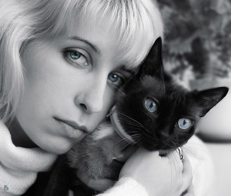 Человек и кошка фото превью