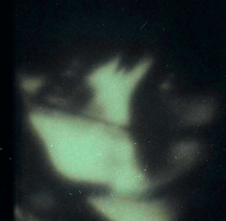 keep_smiling_for_me, Deep in Violet