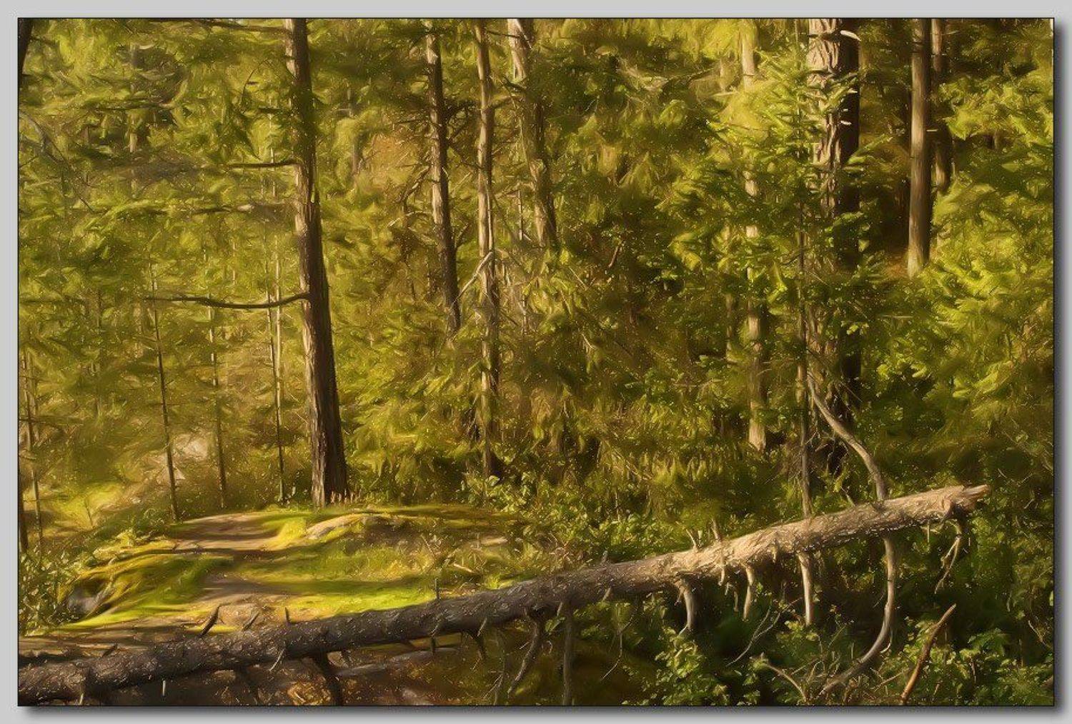 , Alexandre Michourovskii