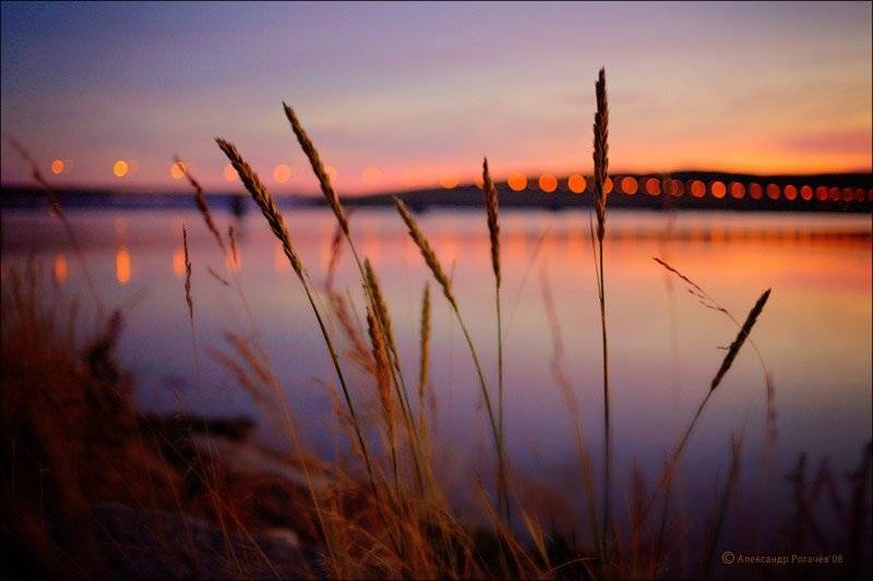 мурманск, Александр Рогачёв