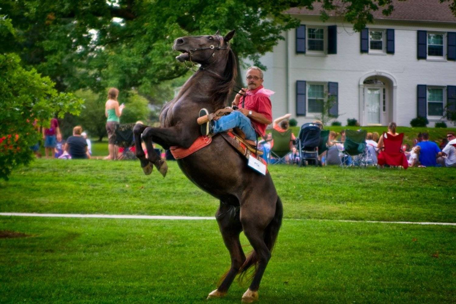 , Vladimir Kovalenko