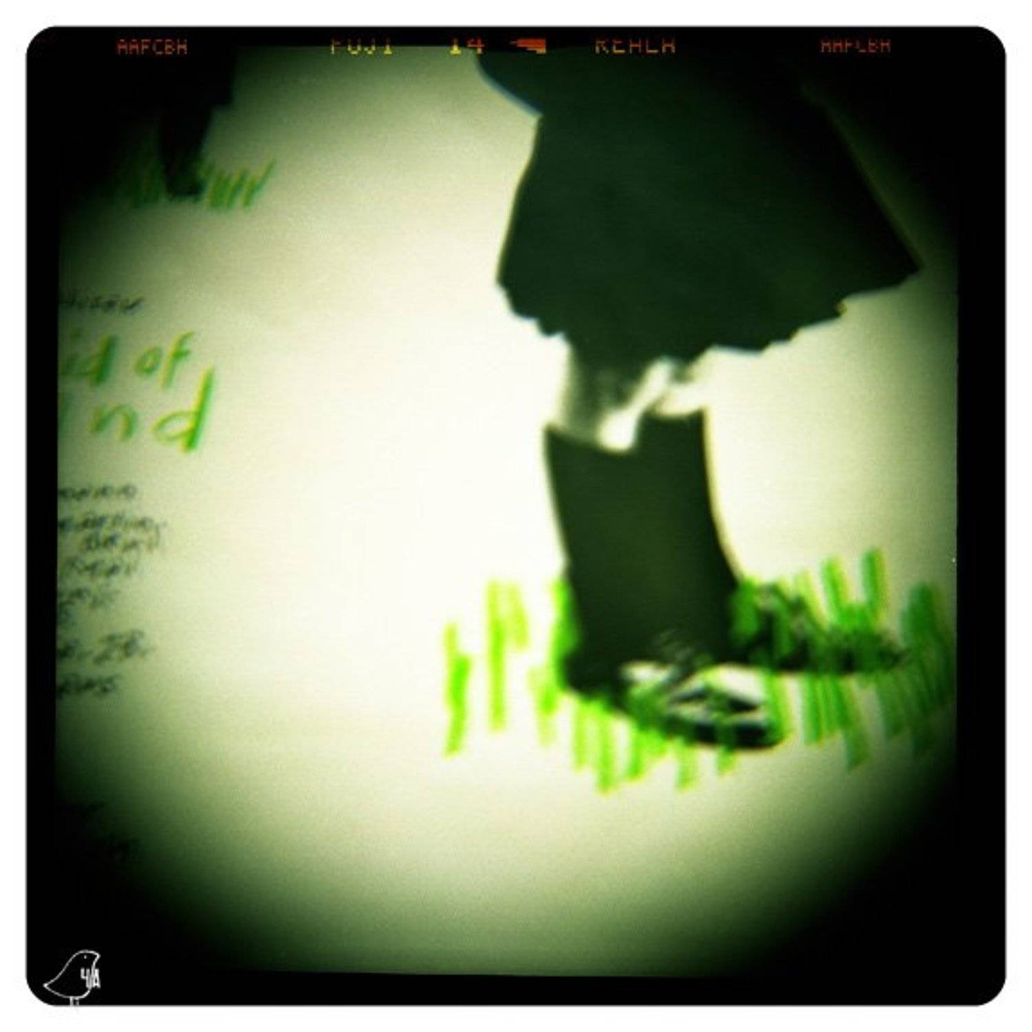 diana+, я увижу нас, но без меня