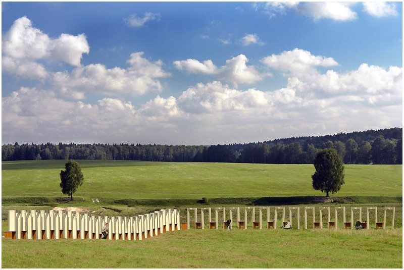 в поле... фото превью