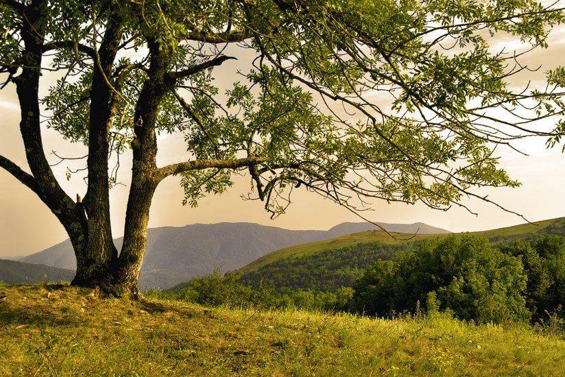 , Екатерина (PhotoJourneys.ru) Васягина