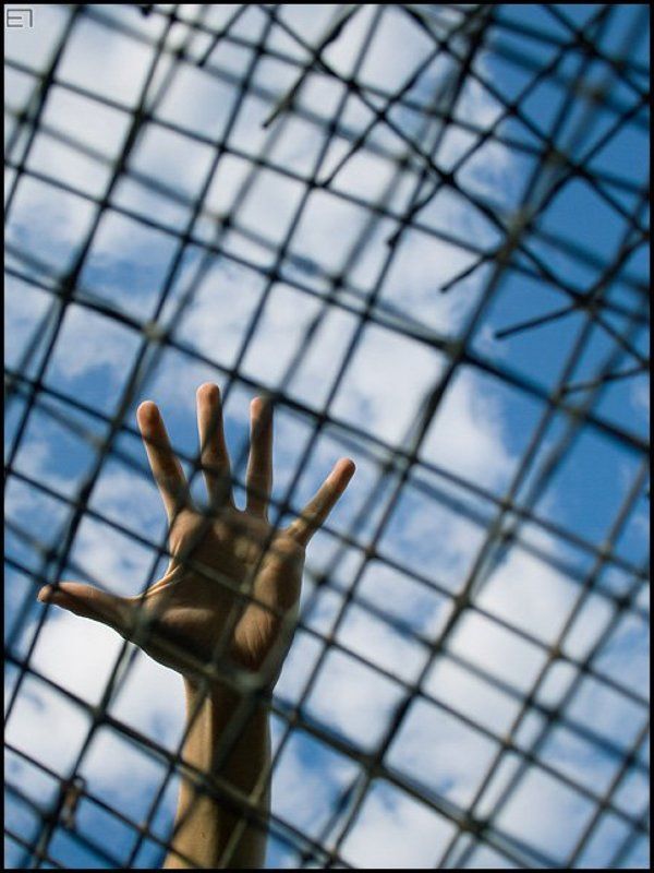 решётка, решето, рука, свобода К свободе... фото превью