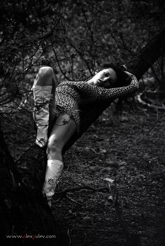 природа,девушка,черное,белое,свет,тень Albi фото превью