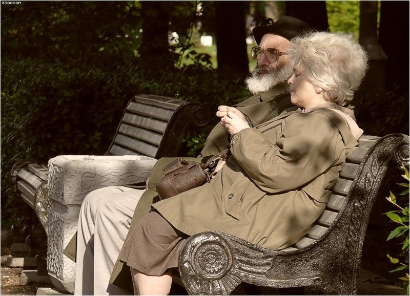 парк Весна и осень фото превью