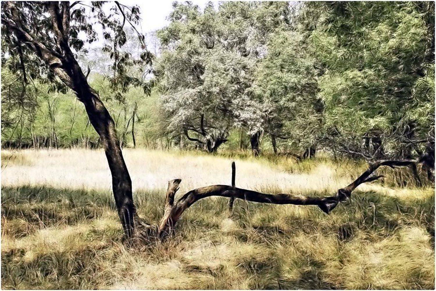 , Александр Батурский