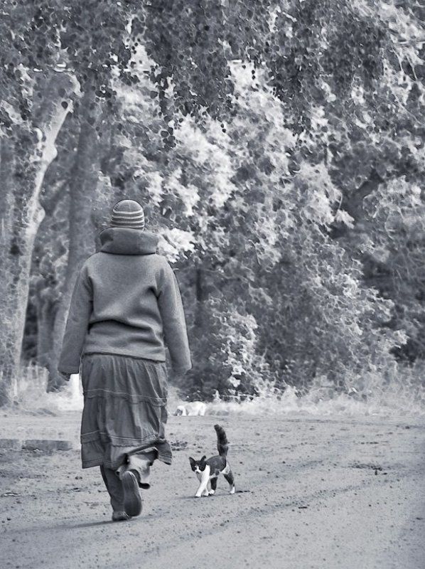 котенок,женщина Котенок фото превью