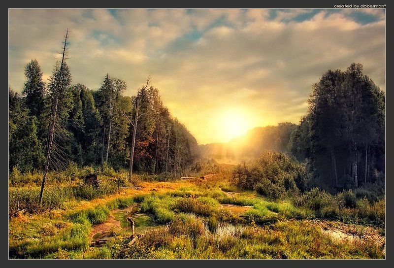 Последний летний закат фото превью