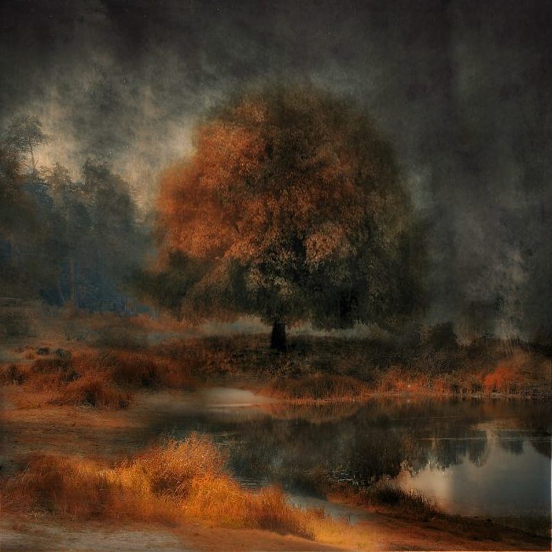 computer, art, digital, photo, landscape, tree Landscape фото превью