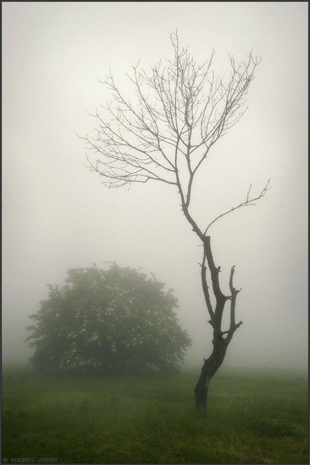 кавказ, пейзаж, туман, Андрей Житков