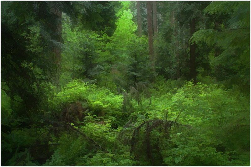 Смотри фото превью