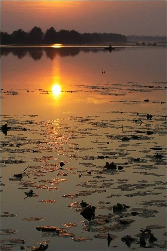 озеро, грязное, башкирия За золотым карасём фото превью