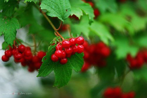 краски Осени 3