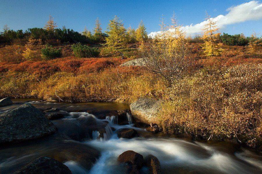 магадан, Sir Fisher