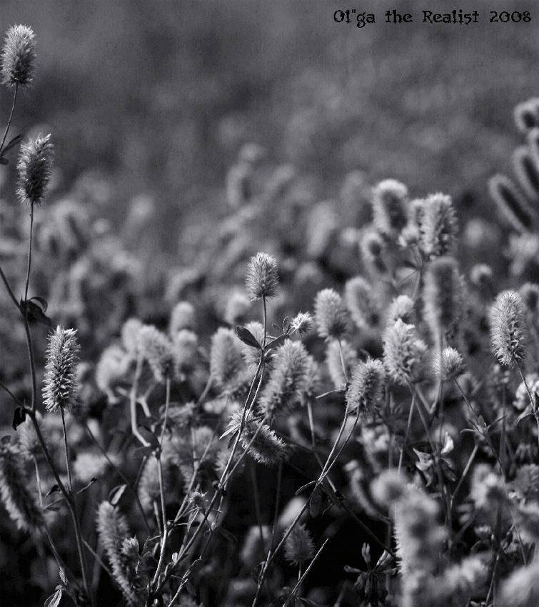 , Ольга Реалист