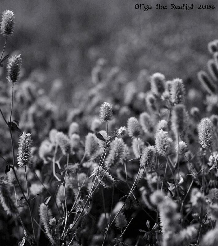 ... фото превью