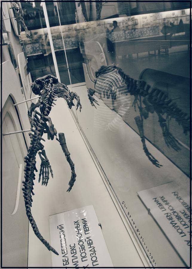 , Ольга Реалист