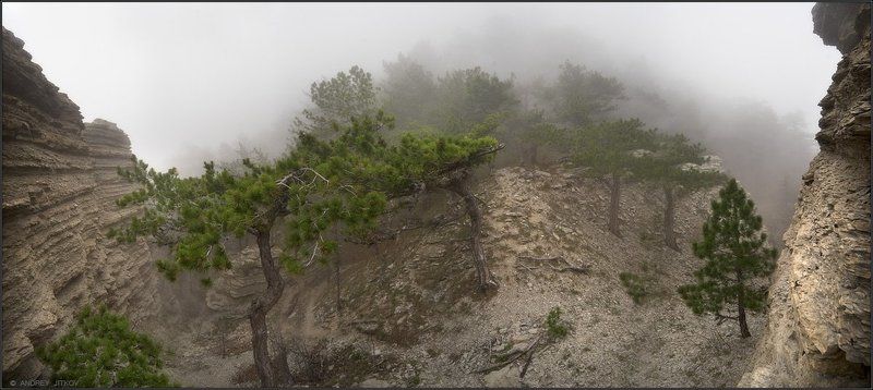 крым, таракташ, пейзаж, туман, весна Туманный Таракташ #4 фото превью