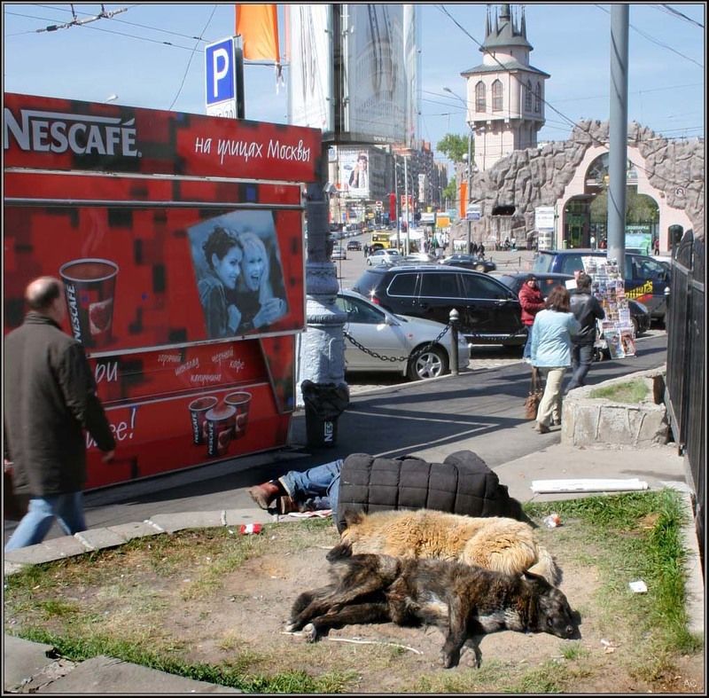 москва, город, бомж Чудесный денек фото превью