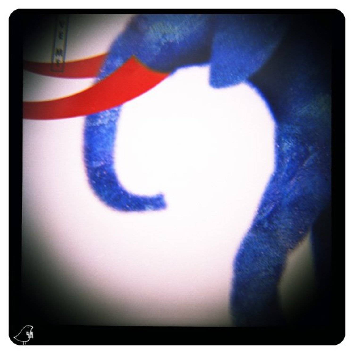 diana+, я увижу нас, но без меня