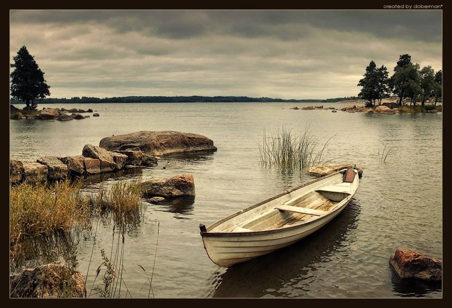 , Денис Богомолов