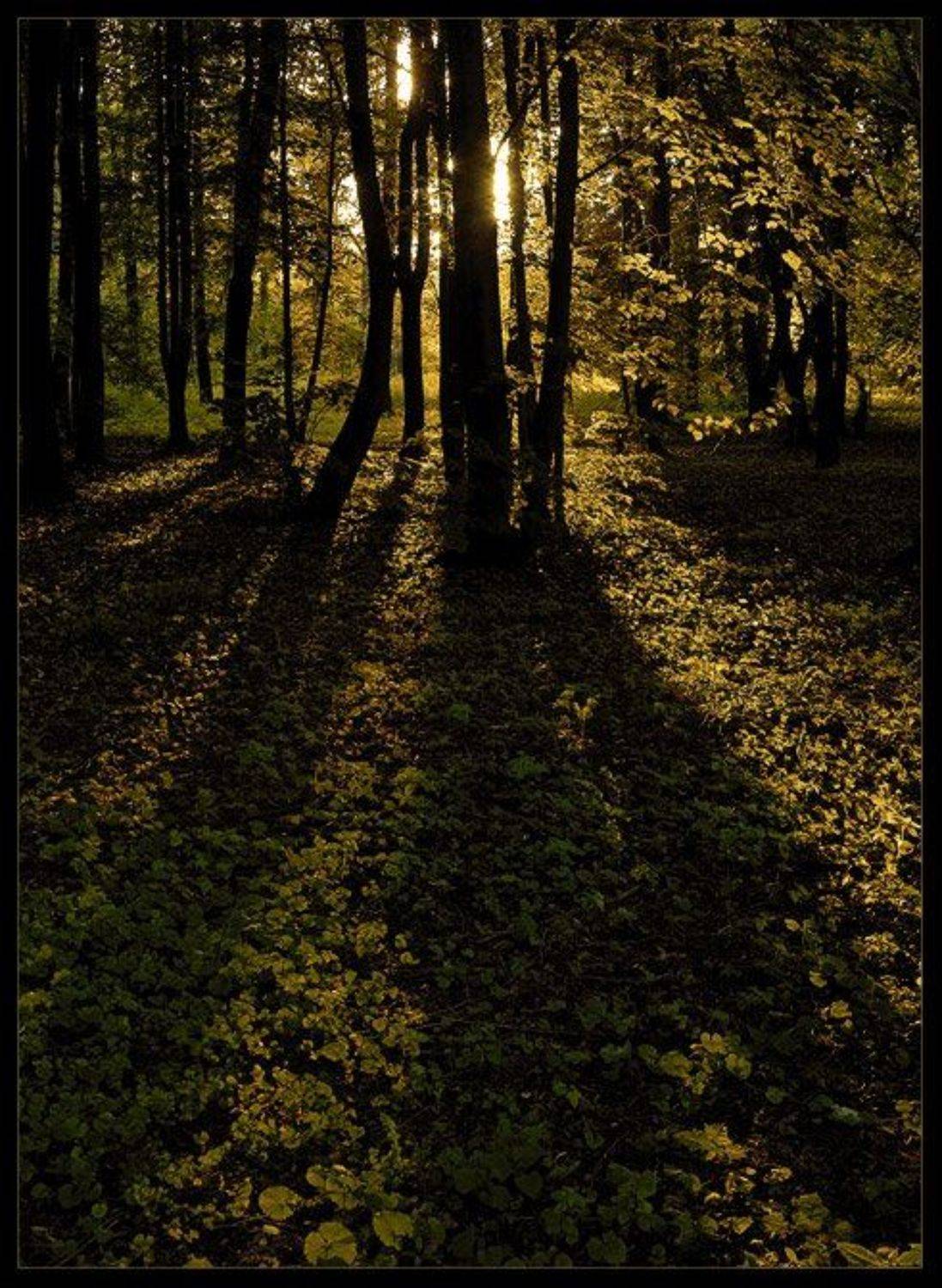 , Екатерина (PhotoJourneys.ru) Васягина