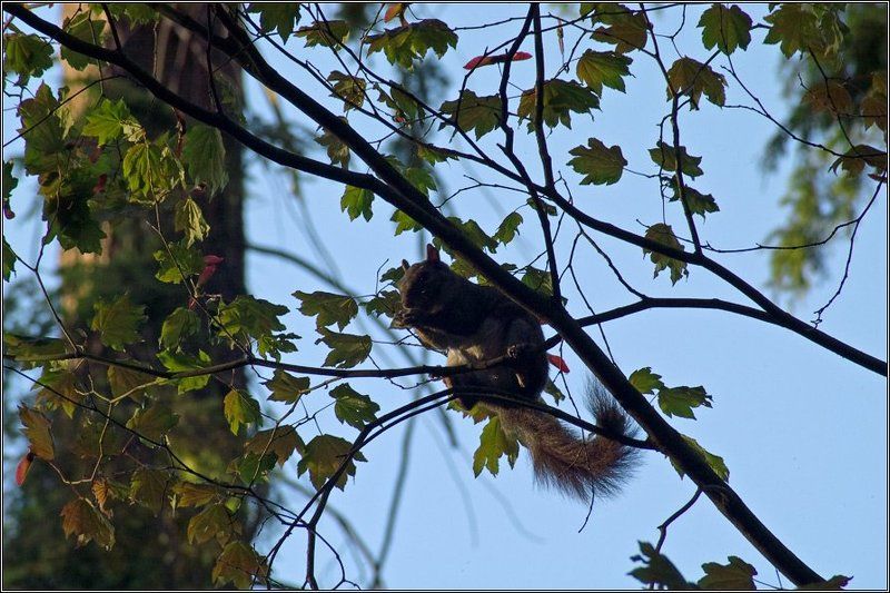 И стол, и дом фото превью