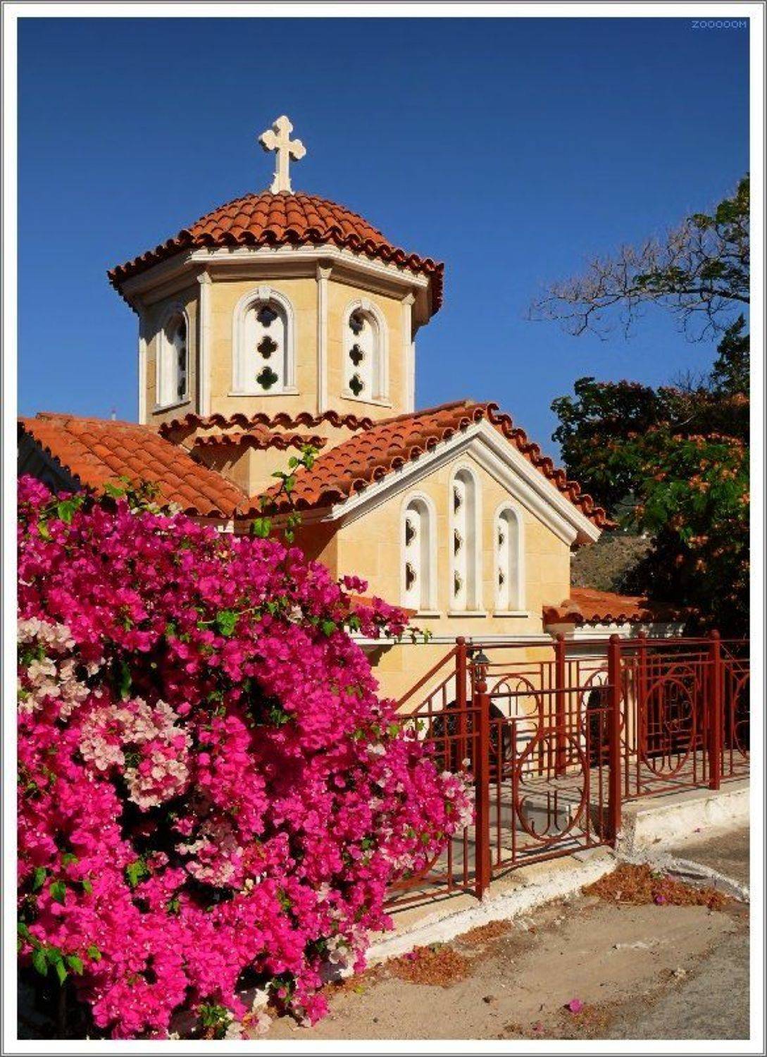 крит, Алексей (zooooom)